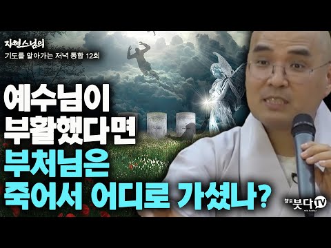 예수님이 부활했다면 부처님은 죽어서 어디로 가셨나? | 자현스님의 기도를 알아가는 저녁 통합본 12회 웃음 재미 이야기 전설 문화 종교 사후세계 죽음 천당 지옥