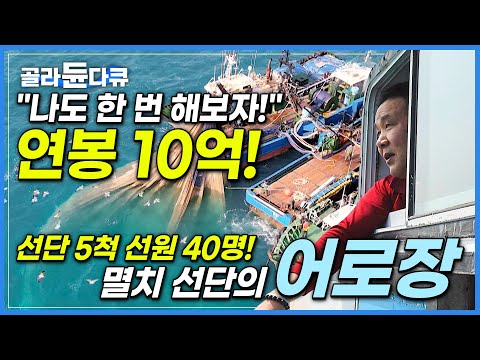 어부 경력 30년 신참 어로장! 극한의 바다에 마지막 도전장 던졌다│모두의 운명이 나에게 달렸다│만선을 향한 멸치 선단의 항해기│만선 멸치잡이│바닷가 사람들│#골라듄다큐