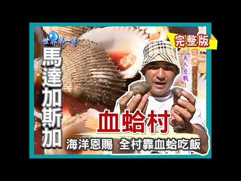 【馬達加斯加】吃血蛤長大的海鮮村（野生變色龍拍賣 + 出海找尋巨無霸血蚶）｜《世界第一等》218集小馬完整版