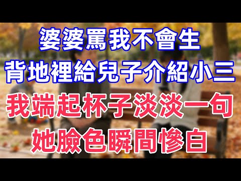 婆婆罵我不會生，背地裡給兒子介紹小三，我端起杯子淡淡一句，她臉色瞬間慘白！#完結 #情感故事 #一口氣看完 #為人處世 #黃姐講故事