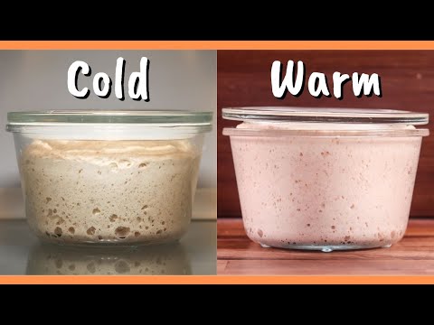 Which is the Best Slow Fermentation Method? Cold vs Room Temperature Compared