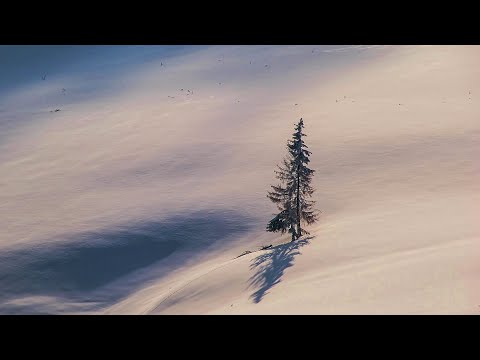 A Lifetime in the Taiga. A Hermit's Winter Routine. Conscious Minimalism.