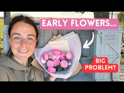 My Flowers Bloomed Too Soon… Now What? 🌸 Can I Sell Them?