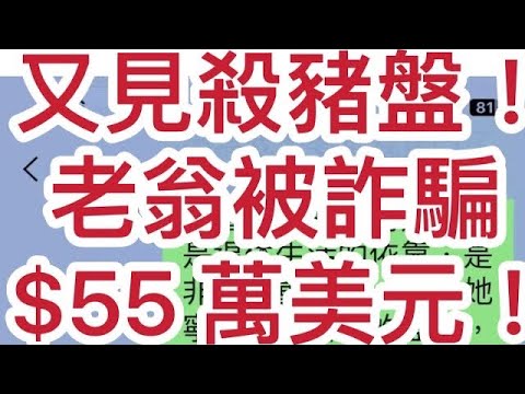 又見殺豬盤！ 美國華僑男士再被騙55萬美元！ 年長婦人被詐騙一生收入200萬美元！