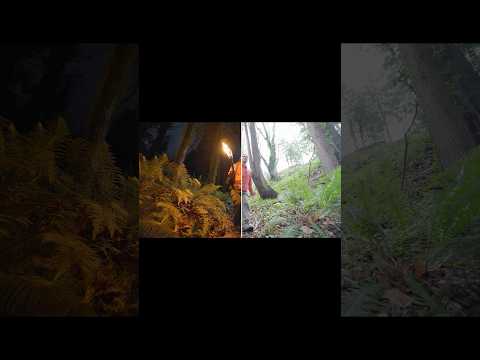 Explore any time of day with #Ray3 Modify in Dream Machine.