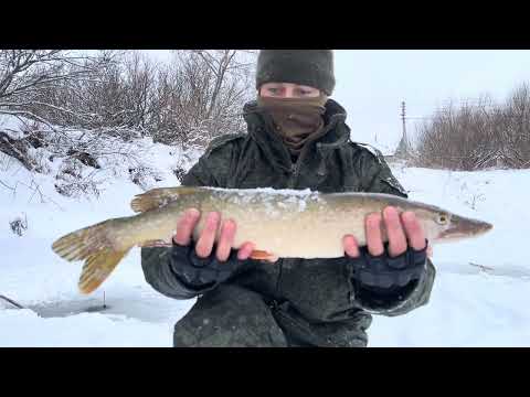 Здесь рыбы нет! Но я с хапугами!!!