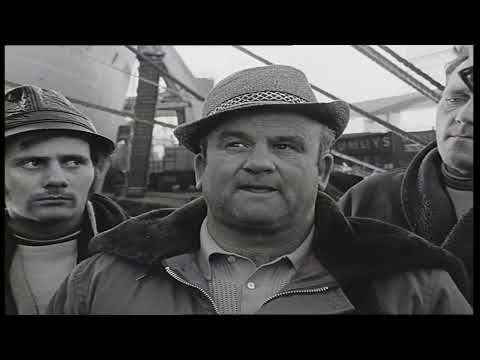 How Container Shipping is impacting Dublin's Dockers, Ireland 1970