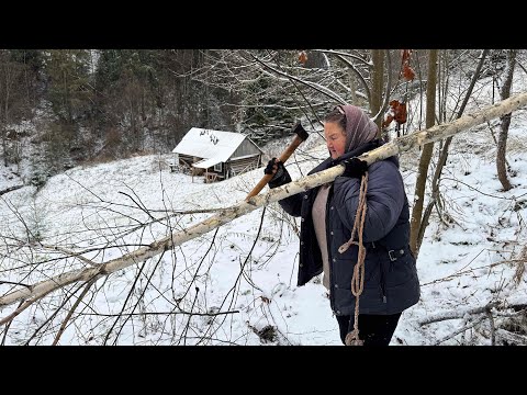 Authentic winter life in the Carpathians: A woman's journey in the forest ❄️🌲