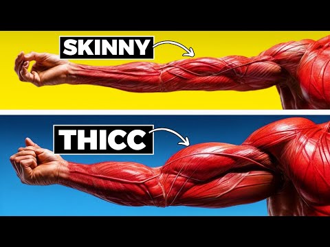 The Only 3 Exercises To Build Biceps That Fill Out Your Shirt