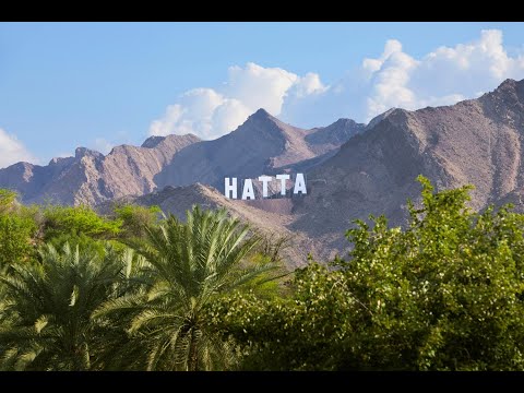 Dubai to Hatta Road Trip Vlog | Exploring UAE’s Mountain Beauty!