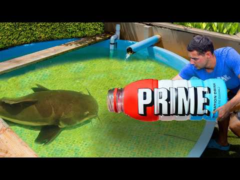 I Caught the Pond Monster In a PRIME Bottle...