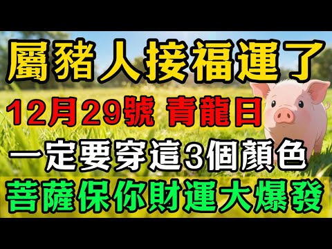 生肖豬必看！12月29號「青龍日」，農曆十一月初十，一定要穿這3個顏色，菩薩保你正財橫財大爆發，福氣滿滿！#佛靈禪境#屬相運勢#生肖#家運#生肖運勢的那些事#先知#風水變化#提升運勢