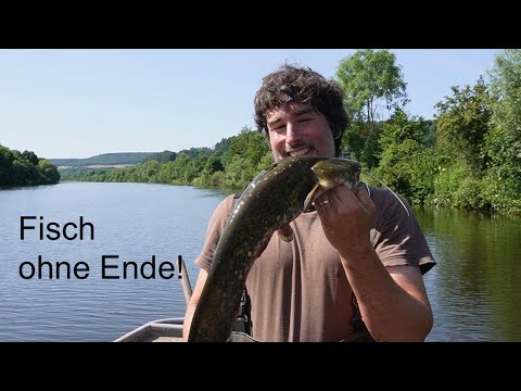 UNBELIEVABLE! We're catching LOTS of eels!