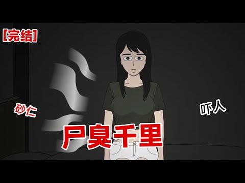 【完结】《尸臭千里》我室友整天不洗澡，每天身上散发着尸体的臭味，网友评论道：她是死人#动画 #小说 #悬疑#凶杀#恐怖#灵异讲述屋