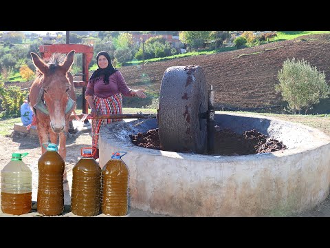 Traditional Olive Grinding and Olive Oil Extraction: A Timeless Craft