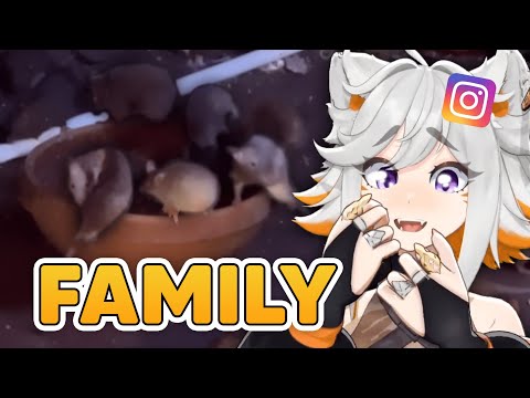 Memes that Made Deme Find Her Brethren