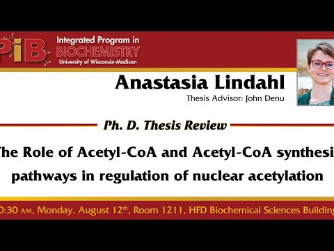 Thesis Defense: Anastasia Lindahl