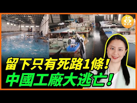不只外資，連自己人也跑了！大陸老闆：留下來只等死路一條！中國企業瘋狂外移……