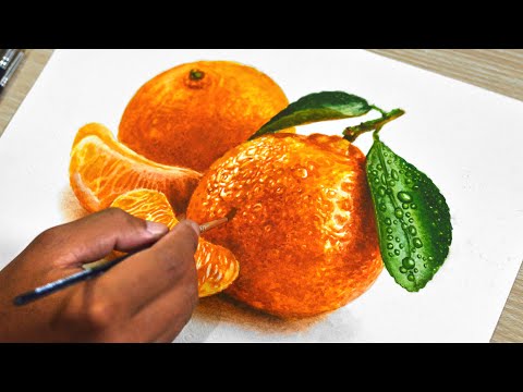 Watercolor Painting of Orange Fruits