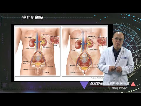 免疫覺醒online-膀胱癌免疫治療新知 第一集