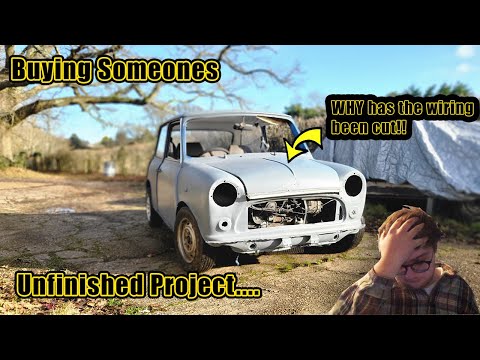 Saving a CLASSIC MINI On a budget! Our NEW Project Gets under way! Hasn't Run in OVER 10 YEARS!🔥Ep1