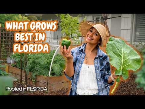 A Beginner's Guide to Starting a South Florida Vegetable Garden | Rooted in Florida