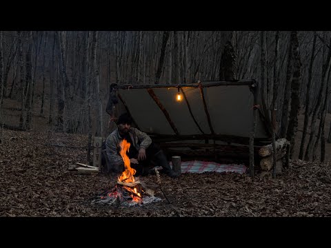 Solo Wild Camping in the Deep Forest | Building a Natural Shelter, Cooking Bread & Meat Over Fire