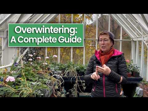 Complete Guide to Overwintering Perennials: Get Your Garden Ready for Winter! (Zone 8)