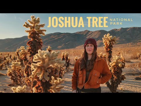 Instant Photography in Joshua Tree National Park | Fuji Instax Wide on RF70