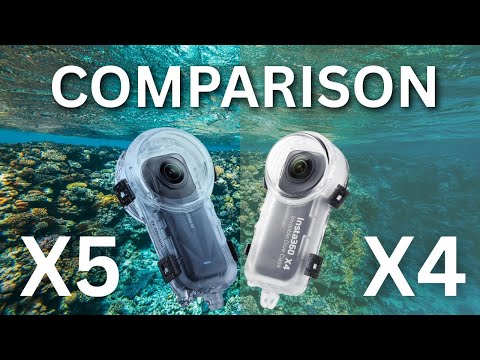 Insta360 X4 or X5? Real Dive Footage Comparison