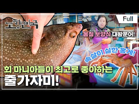 [Full] 고향민국 - 동해, 묵호항 사람들