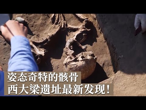 西大梁遗址发掘继续 这个距今4000到3500年的遗址 挖出姿态奇特的骸骨 新发现悄然而至！《探索·发现》《西大梁考古发掘纪实》第二季（上））丨 中华国宝