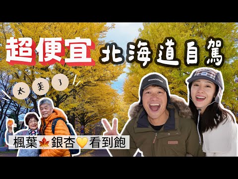 超便宜！11月淡季 帶爸媽來北海道自駕｜楓葉、銀杏看到飽｜札幌 北海道大學 中島公園 ｜美瑛 青池 望岳台 旭川｜