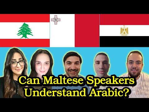 Can Maltese Speakers Understand Arabic?