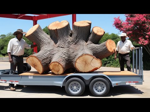 Don't Believe If Don't See: Create Amazing Rustic Products from Discarded Tree Stumps!