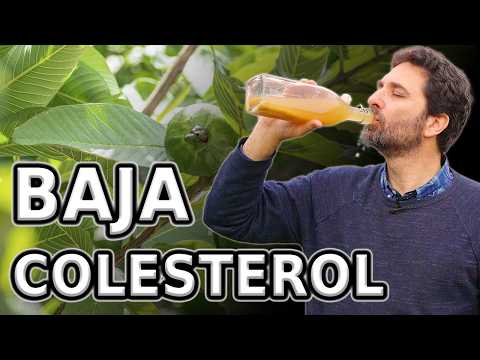 Estos Tés de Hierbas BAJAN colesterol y triglicéridos - Avalados por la ciencia