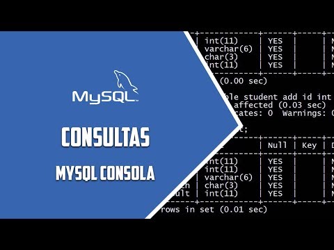 MYSQL Consola –  Consultas básicas– Video 73