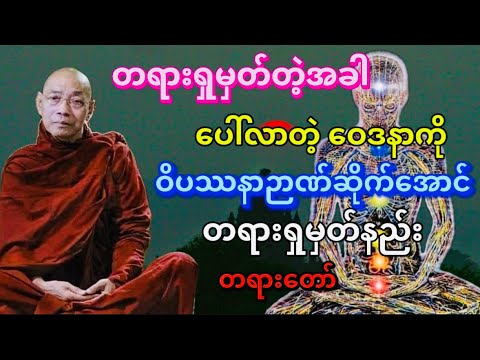 #ဝေဒနာကို လေ့လာသုံးသပ်ခြင်း တရားတော် #ပါချုပ်ဆရာတော်ဘုရားကြီး #ဒေါက်တာနန္ဒမာလာဘိဝံသ