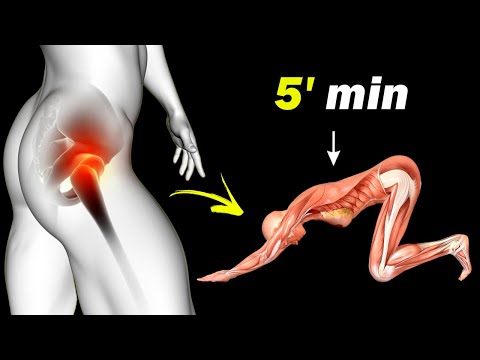 5 Minutes of STRETCHING Exercises that will save you from Hip and Back pain
