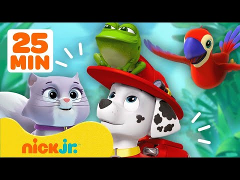 Щенячий патруль | Спасательные операции Маршалла! | Nick Jr. Cyrillic