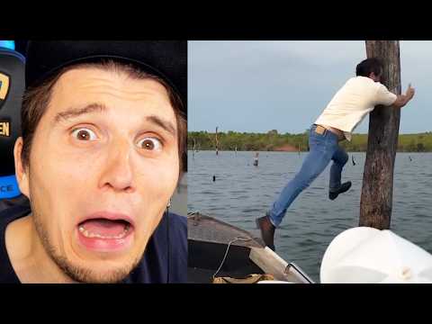 Paluten REAGIERT auf Momente des direkten Bereuens, festgehalten auf der Kamera