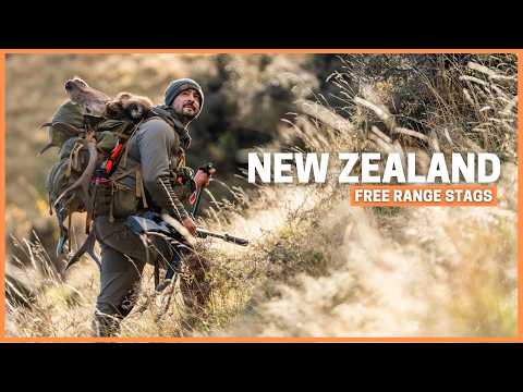 Against All Odds | New Zealand Red Stag Hunt in Winter Conditions