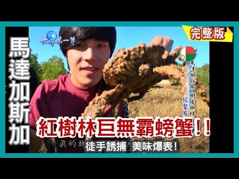 【馬達加斯加】紅樹林巨無霸螃蟹 鮮美滋味無人能敵/莫三比克海峽挑戰釣大魚!/見證世界全新物種?!｜《世界第一等》492集 完整版