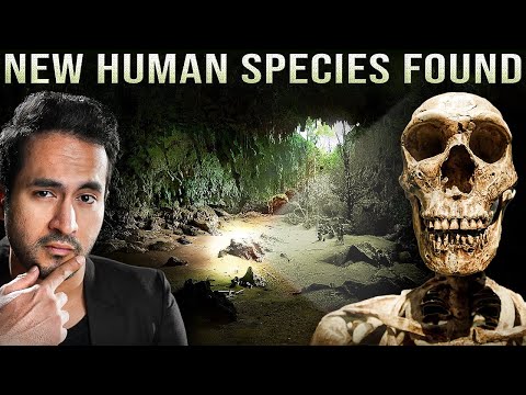 BIG CONFUSION! New Human Species Discovered That've Raised Doubts On Human Origins