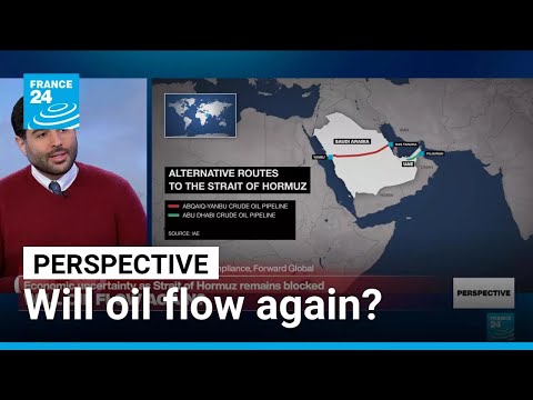 Iran: 'Going back to war is not in anyone's interest,' risk analyst says • FRANCE 24 English