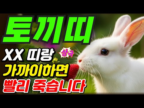 [토끼띠와 상극인 최악의 띠] 토끼띠 최악의 인연, 이 띠와는 왜 안 될까? | 최악의 조합 3가지 | 토끼띠운세 51년생 63년생 75년생 87년생