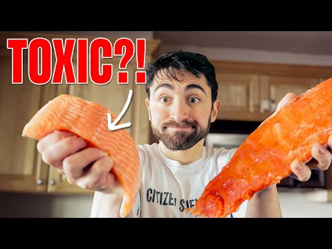 How to Pick the Healthiest Salmon: Avoid Toxins and Make Smart Choice