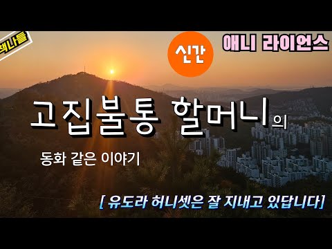 60세부터 읽으면 딱 좋을 (위로가 되는) 맞춤형 소설! |유도라 허니셋은 잘 지내고 있답니다 | 애니 라이언스 장편소설 | 안은주 옮김 |한스미디어