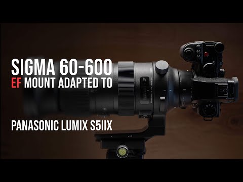 Sigma 60-600mm EF Lens on Lumix S5IIx | Sigma MC-21 Adapter
