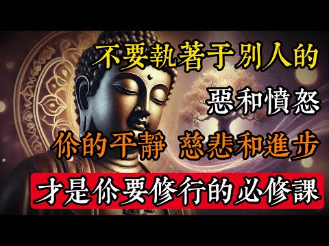 不要執着於別人的惡和憤怒，你的平靜、慈悲和進步，才是你要修行的必修課#佛學 #禪宗 #佛教哲學 #佛教經典
